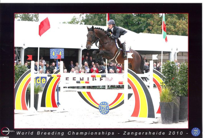 ZANGERSHEIDE WK JONGE PAARDEN